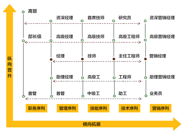 人才培养 人才培养