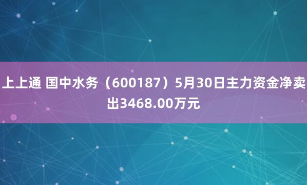 上上通 国中水务（600187）5月30日主力资金净卖出3468.00万元