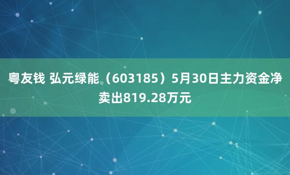 粤友钱 弘元绿能（603185）5月30日主力资金净卖出819.28万元
