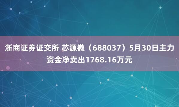 浙商证券证交所 芯源微（688037）5月30日主力资金净卖出1768.16万元