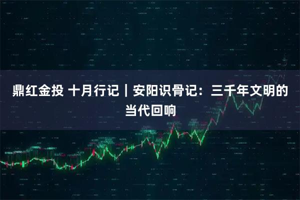 鼎红金投 十月行记｜安阳识骨记：三千年文明的当代回响