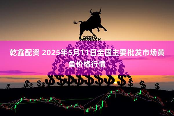 乾鑫配资 2025年5月11日全国主要批发市场黄鱼价格行情