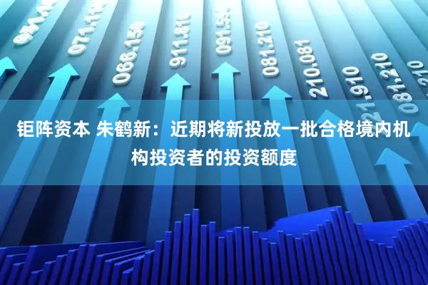 钜阵资本 朱鹤新：近期将新投放一批合格境内机构投资者的投资额度