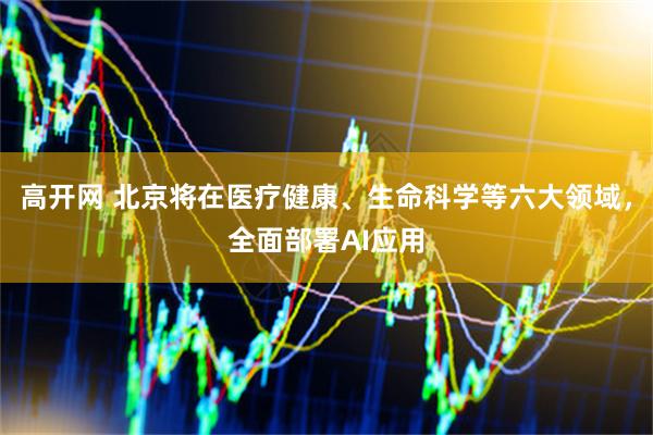 高开网 北京将在医疗健康、生命科学等六大领域,全面部署AI应用