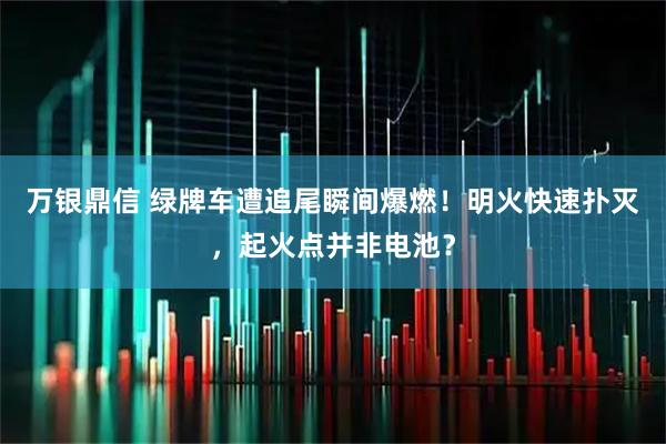 万银鼎信 绿牌车遭追尾瞬间爆燃！明火快速扑灭，起火点并非电池？